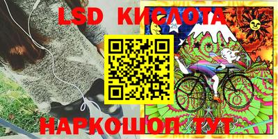 бошки Кимры