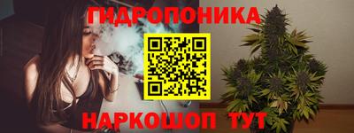 бошки Кимры