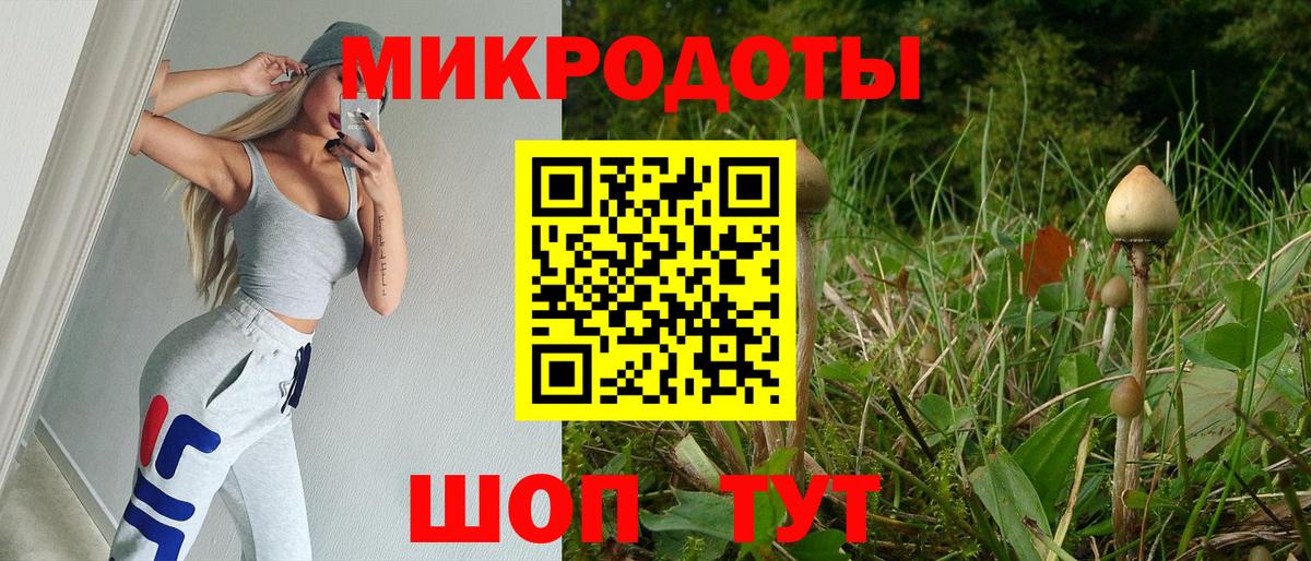 купить   Вход с VPN  Энгельс  Псилоцибиновые грибы мухоморы 
