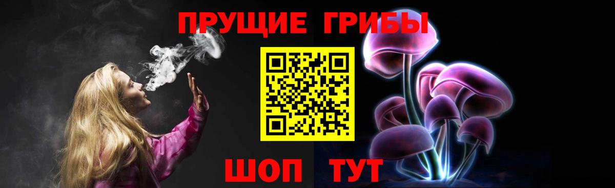 Галлюциногенные грибы прущие грибы Энгельс